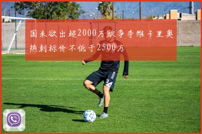 国米欲出超2000万欧争夺维卡里奥热刺标价不低于2500万