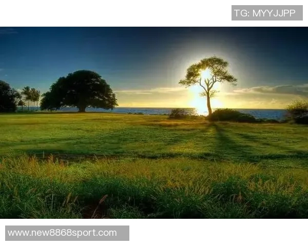 曲刚寄语职业球员坚持信念面临降级压力希望不放弃努力拼搏